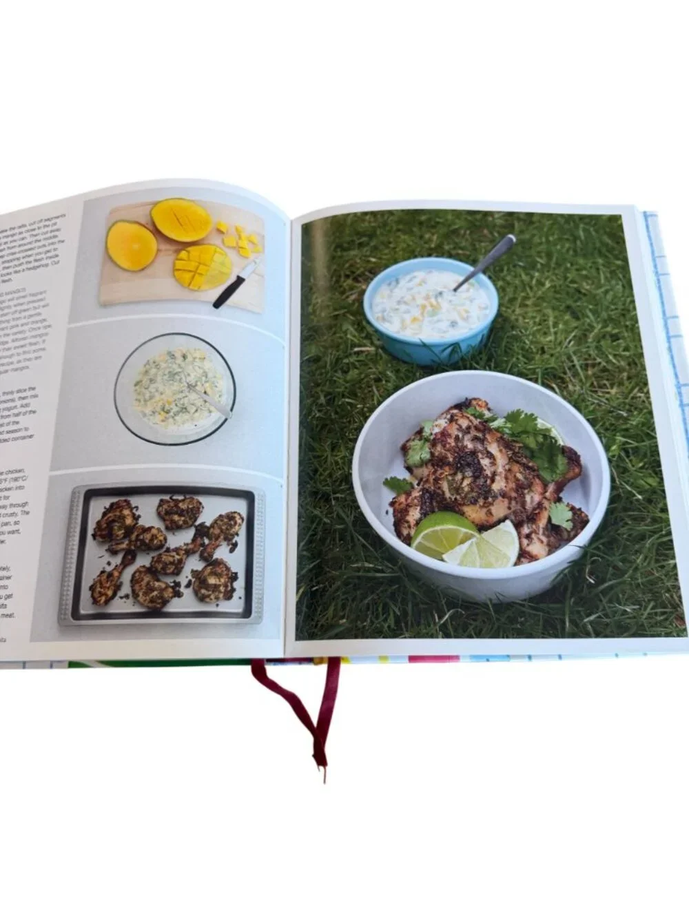 What To Cook And How To Cook It Fresh Easy Step By Step Recipes Jane Hornby HC